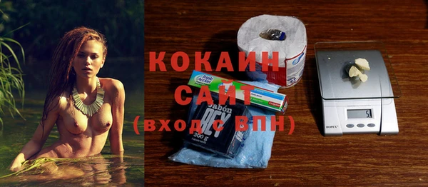 прущие грибы Арсеньев