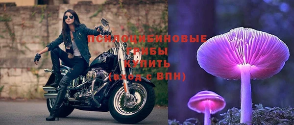 прущие грибы Арсеньев