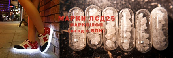 apvp Аркадак