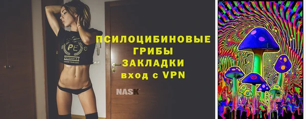 прущие грибы Арсеньев