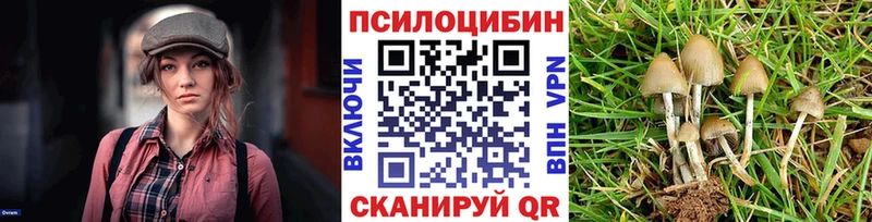 KRAKEN зеркало  Баймак  даркнет Telegram  Псилоцибиновые грибы GOLDEN TEACHER 